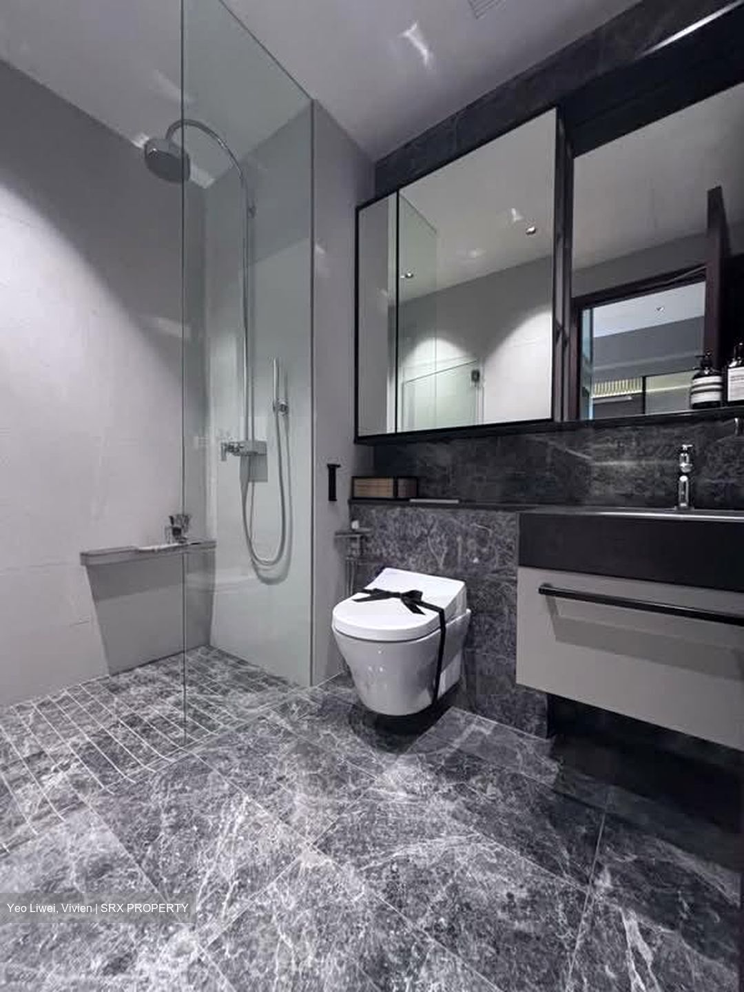 Parksuites (D10), Apartment #591356551